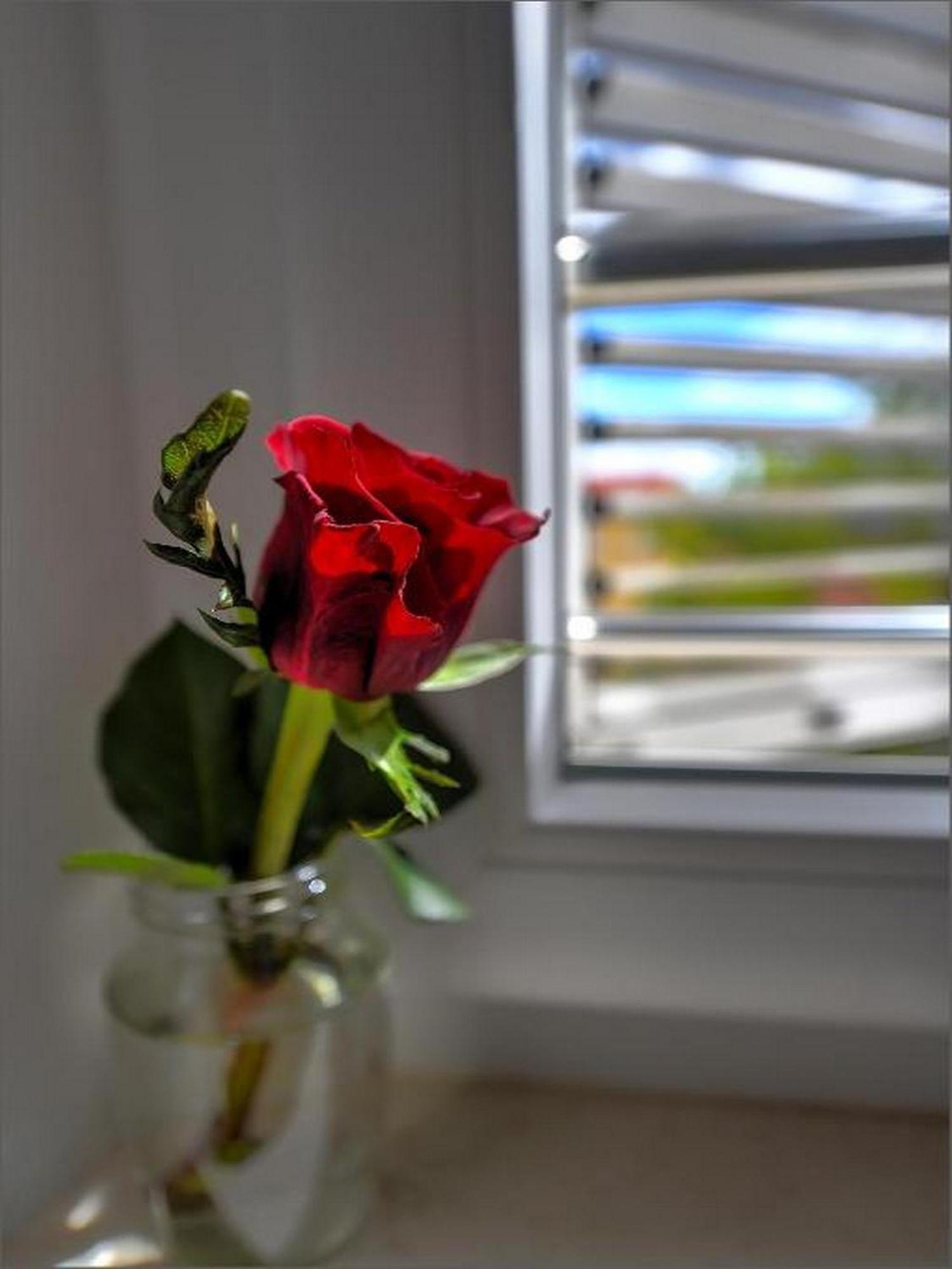 Via Porto Rooms Split Rom bilde