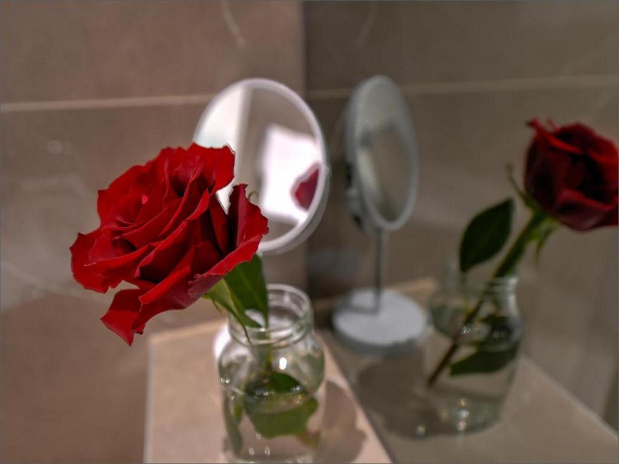 Via Porto Rooms Split Rom bilde